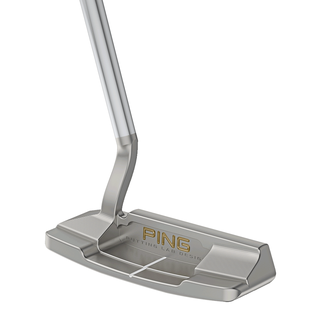 Cavity view of PLD Milled Anser 4D putter